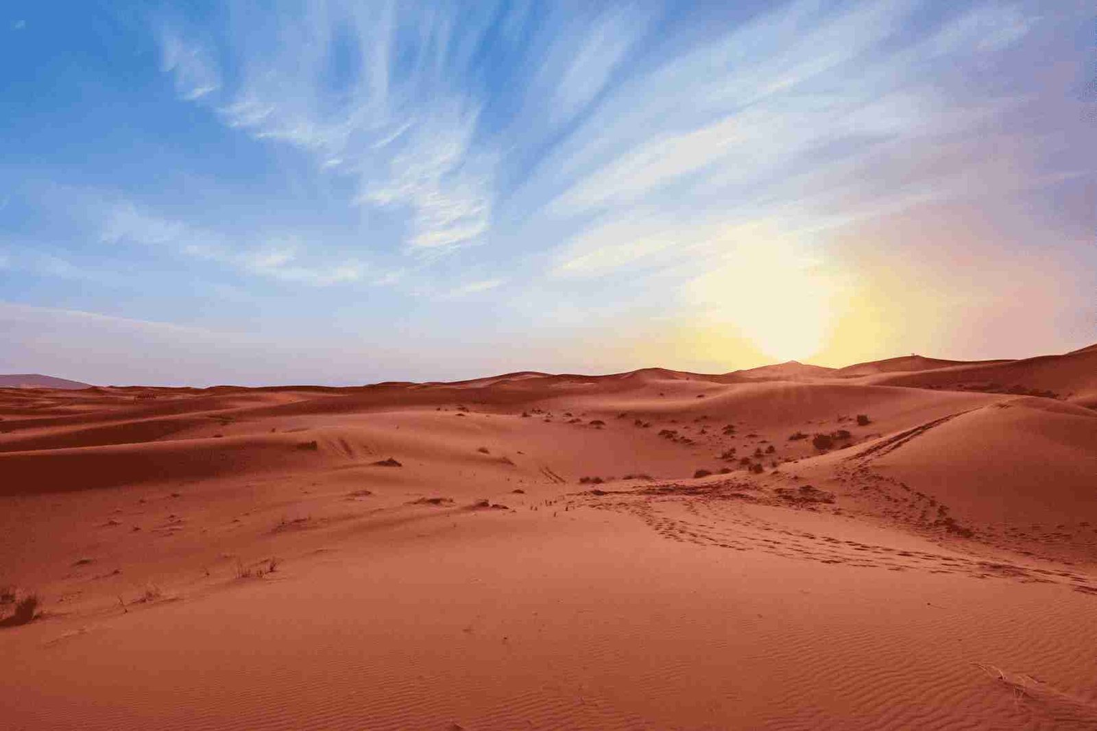 Saudi